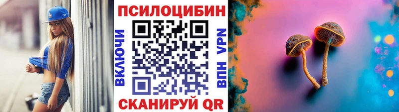 Псилоцибиновые грибы Psilocybine cubensis  что такое   Бугульма 